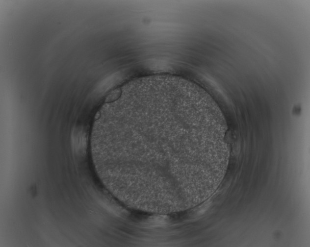 X0000094190124200711241623