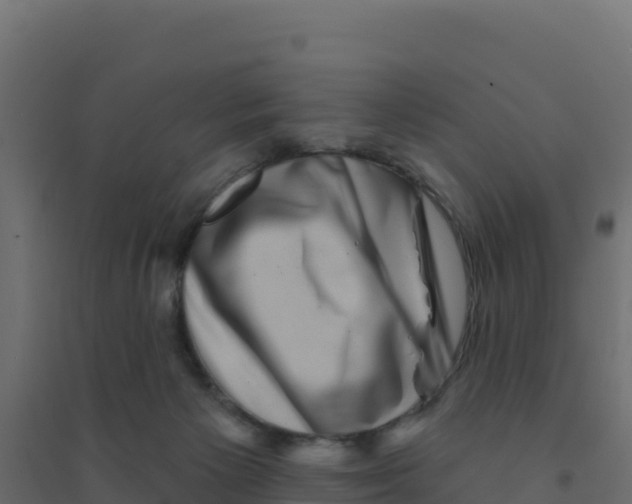 X0000094190125200711241623