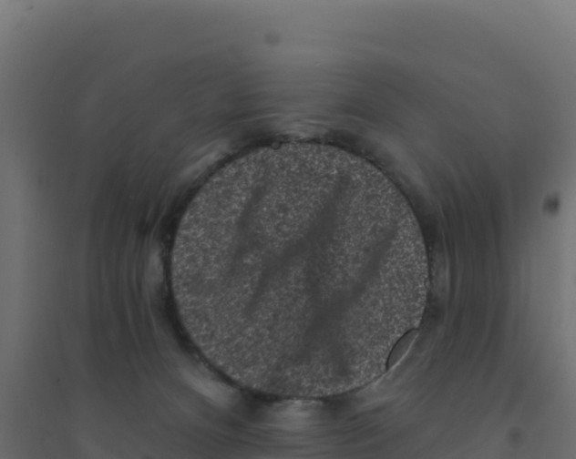 X0000094190128200711241623