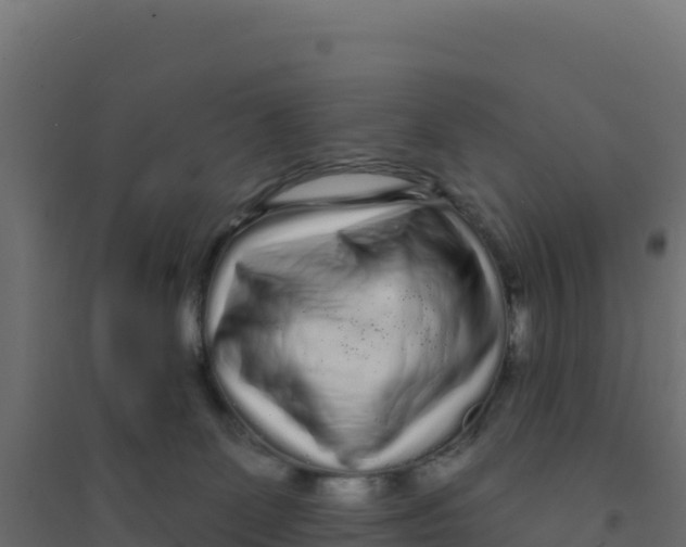 X0000094190131200711241623