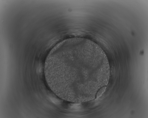 X0000094190132200711241623