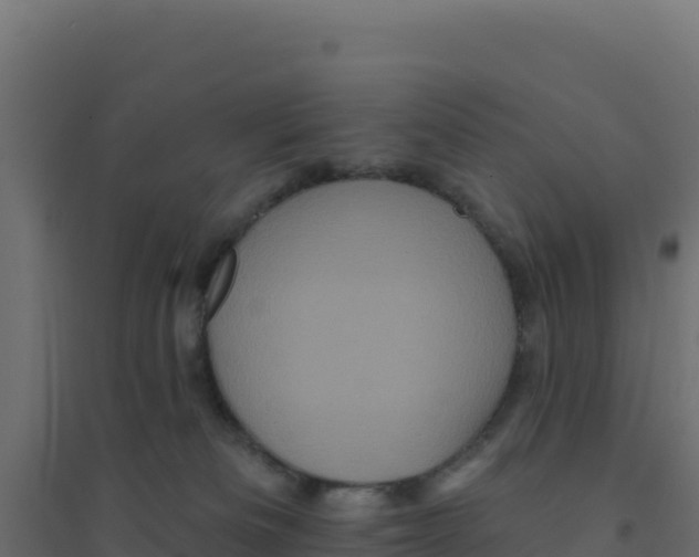 X0000094190133200711241623