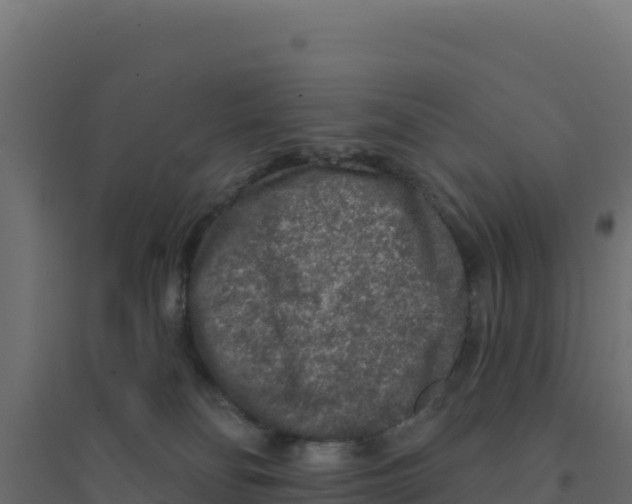 X0000094190134200711241623