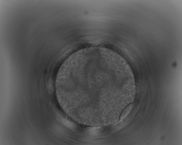 X0000094190136200711241623