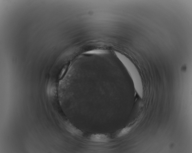X0000094190137200711241623