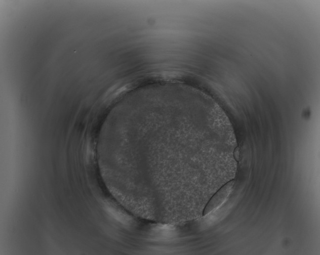 X0000094190140200711241623