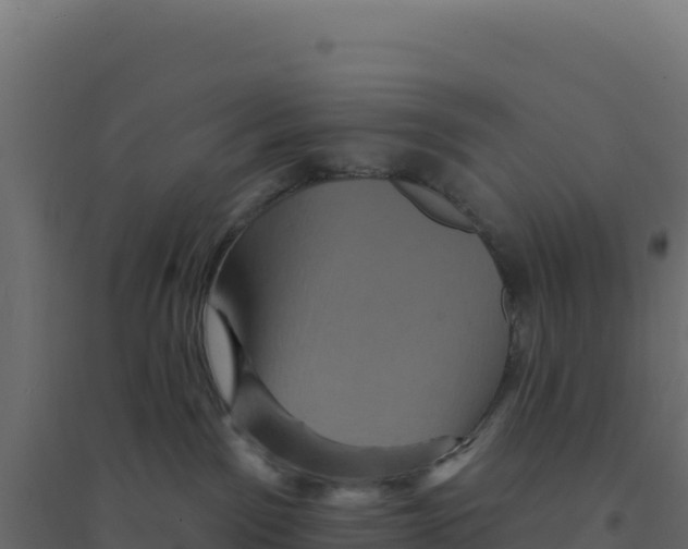 X0000094190141200711241623