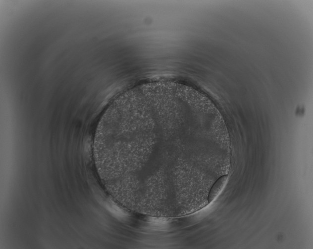 X0000094190144200711241623