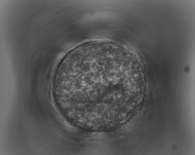 X0000094190145200711241622