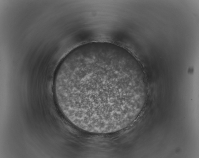 X0000094190146200711241622