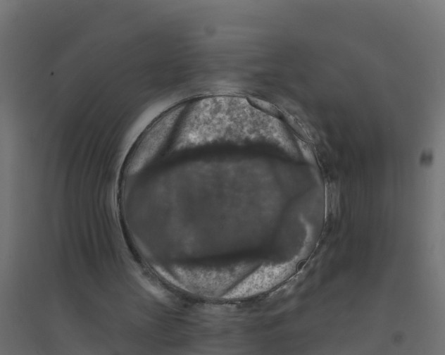 X0000094190147200711241622
