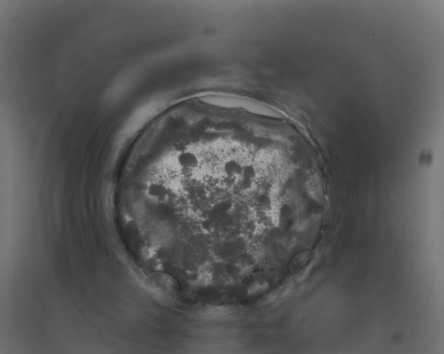 X0000094190149200711241622