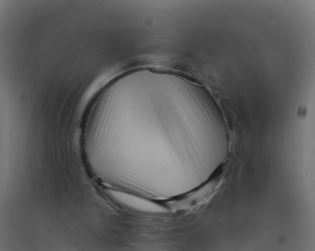 X0000094190150200711241622