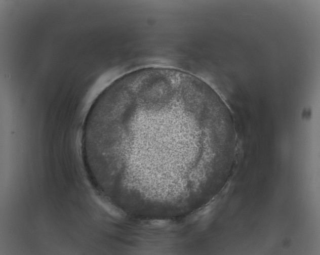 X0000094190151200711241622
