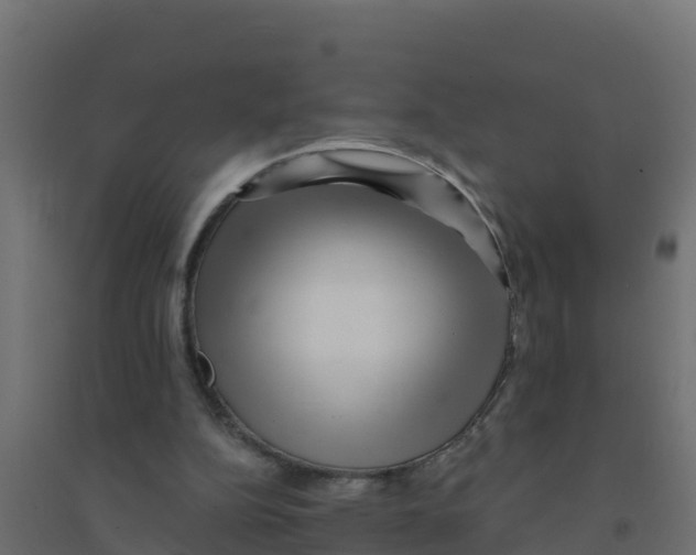 X0000094190152200711241622