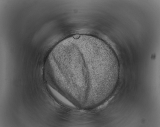 X0000094190153200711241623