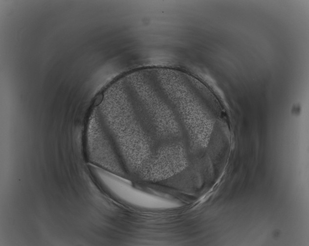 X0000094190154200711241623