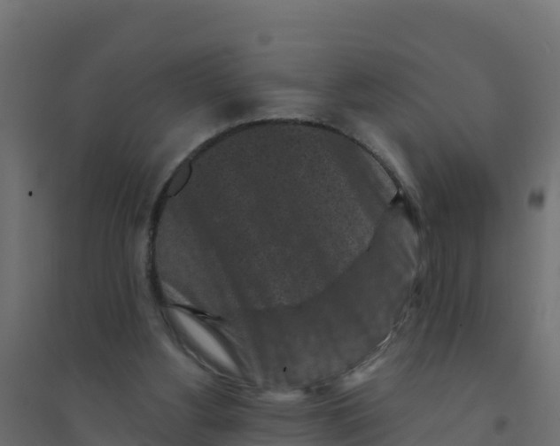 X0000094190156200711241623