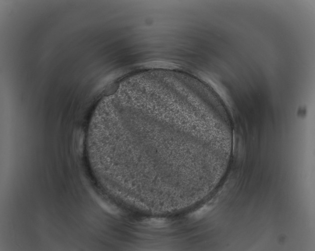 X0000094190157200711241623