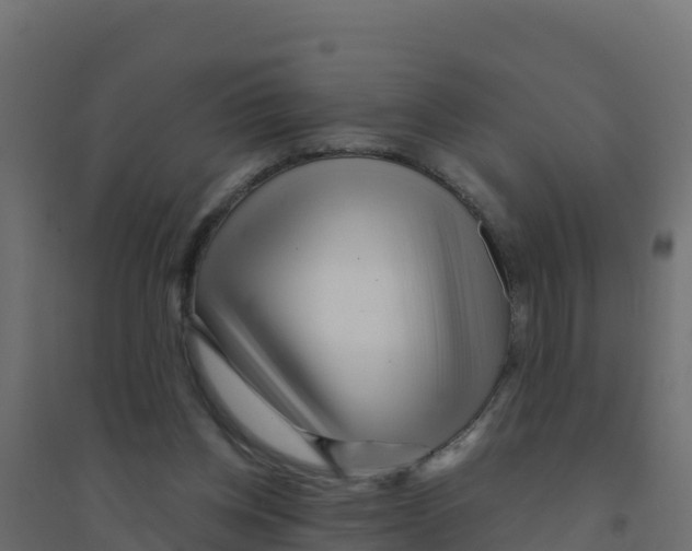 X0000094190158200711241623