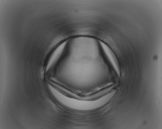 X0000094190160200711241623