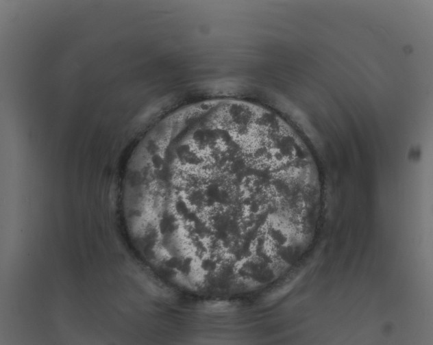 X0000094190161200711241623