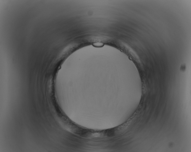 X0000094190163200711241623
