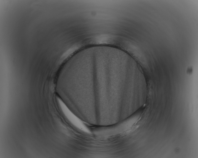 X0000094190164200711241623