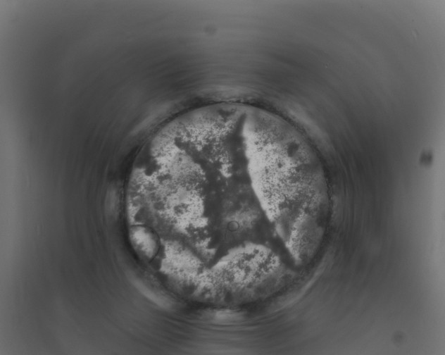 X0000094190165200711241623