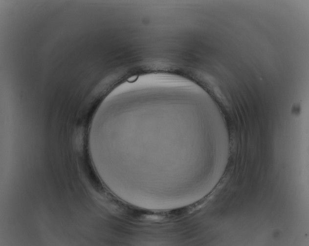 X0000094190167200711241623