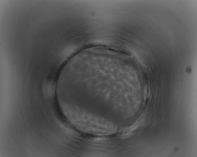 X0000094190168200711241623