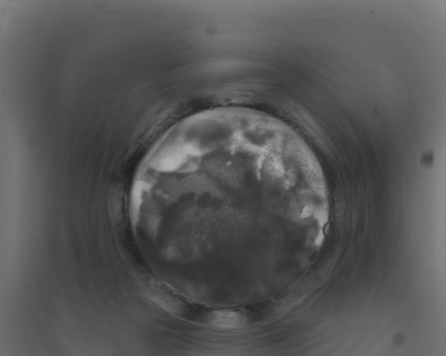 X0000094190169200711241623