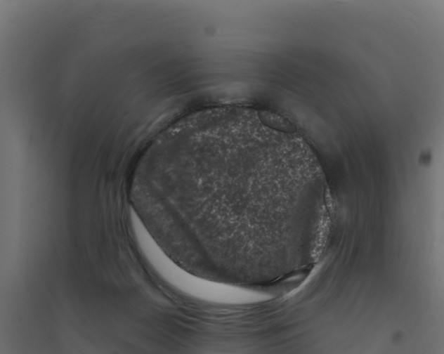 X0000094190170200711241623