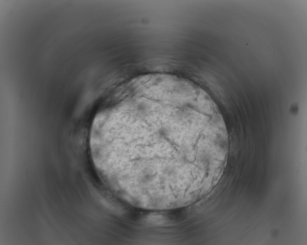 X0000094190171200711241623