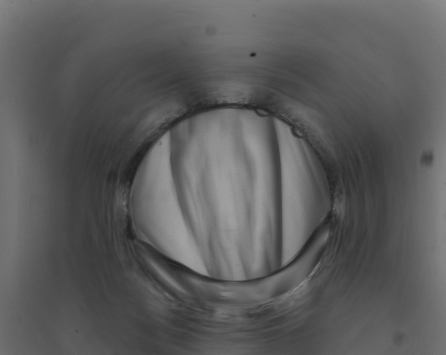 X0000094190172200711241623