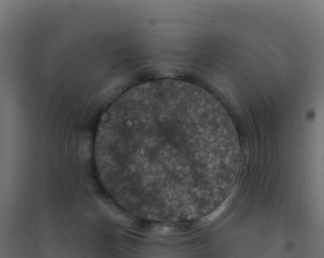 X0000094190174200711241623