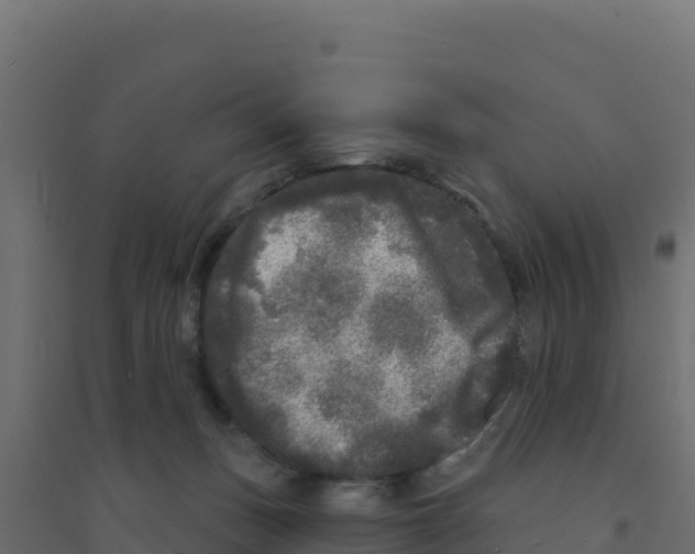 X0000094190175200711241623