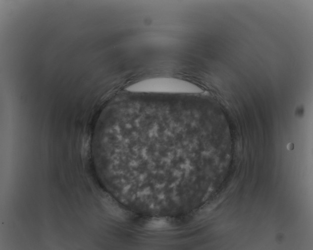 X0000094190177200711241623