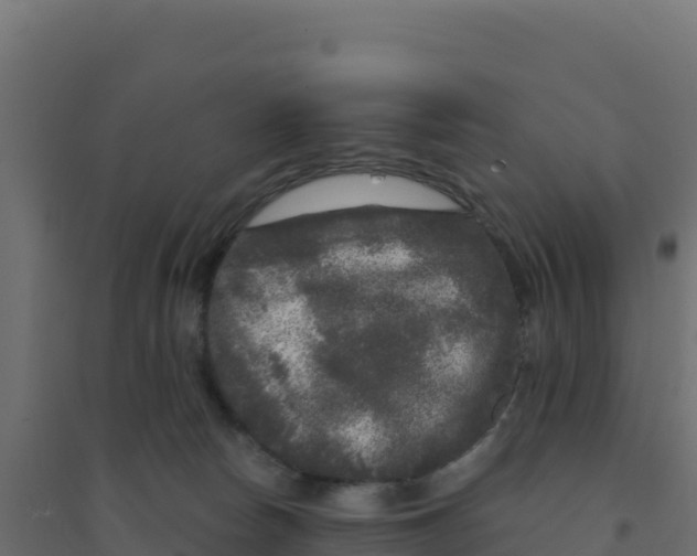 X0000094190178200711241623