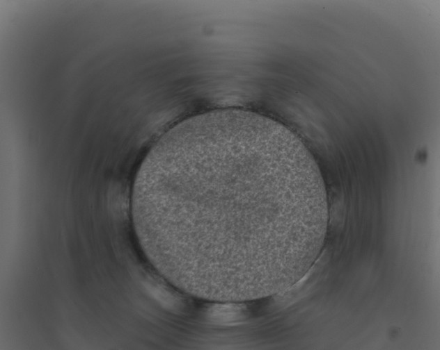 X0000094190179200711241623