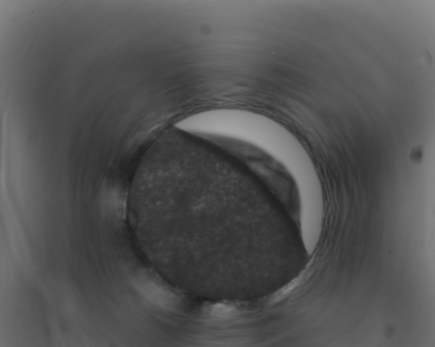 X0000094190180200711241623