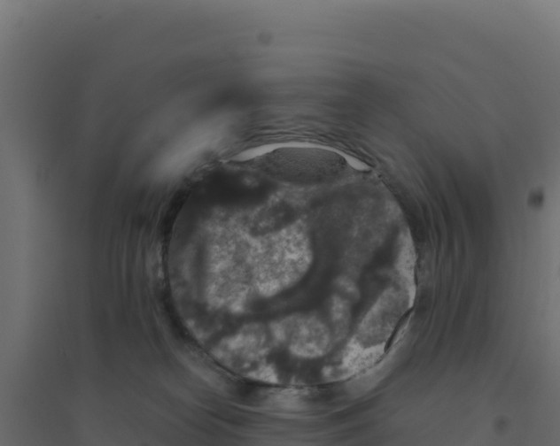 X0000094190182200711241623