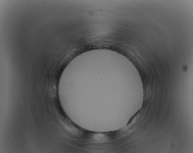 X0000094190183200711241623