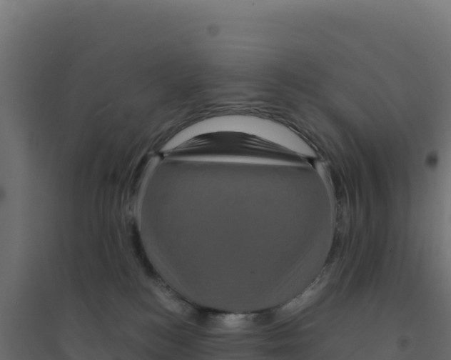X0000094190184200711241623