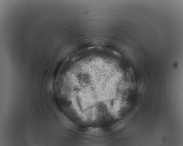 X0000094190185200711241623