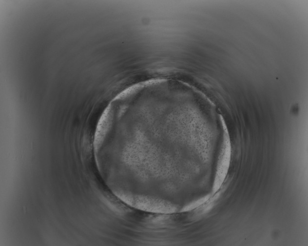 X0000094190186200711241623