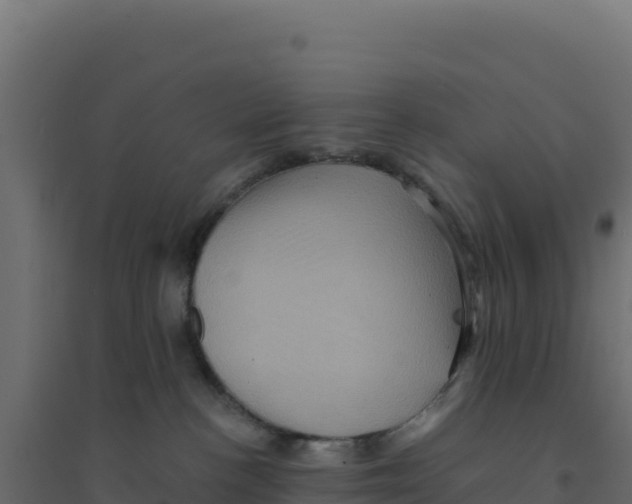 X0000094190188200711241623