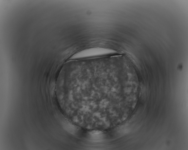 X0000094190189200711241623