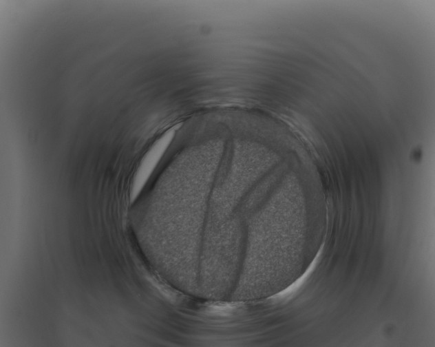 X0000094190190200711241623
