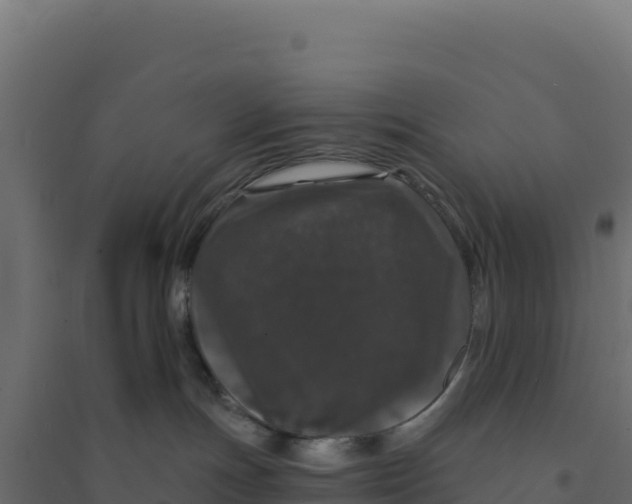 X0000094190191200711241623